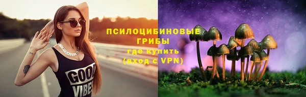 мяу мяу мука Алексин