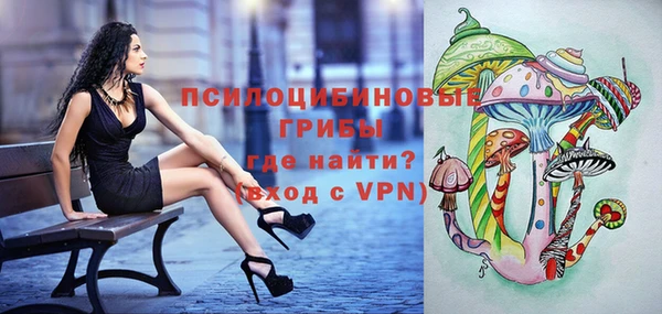герыч Алзамай